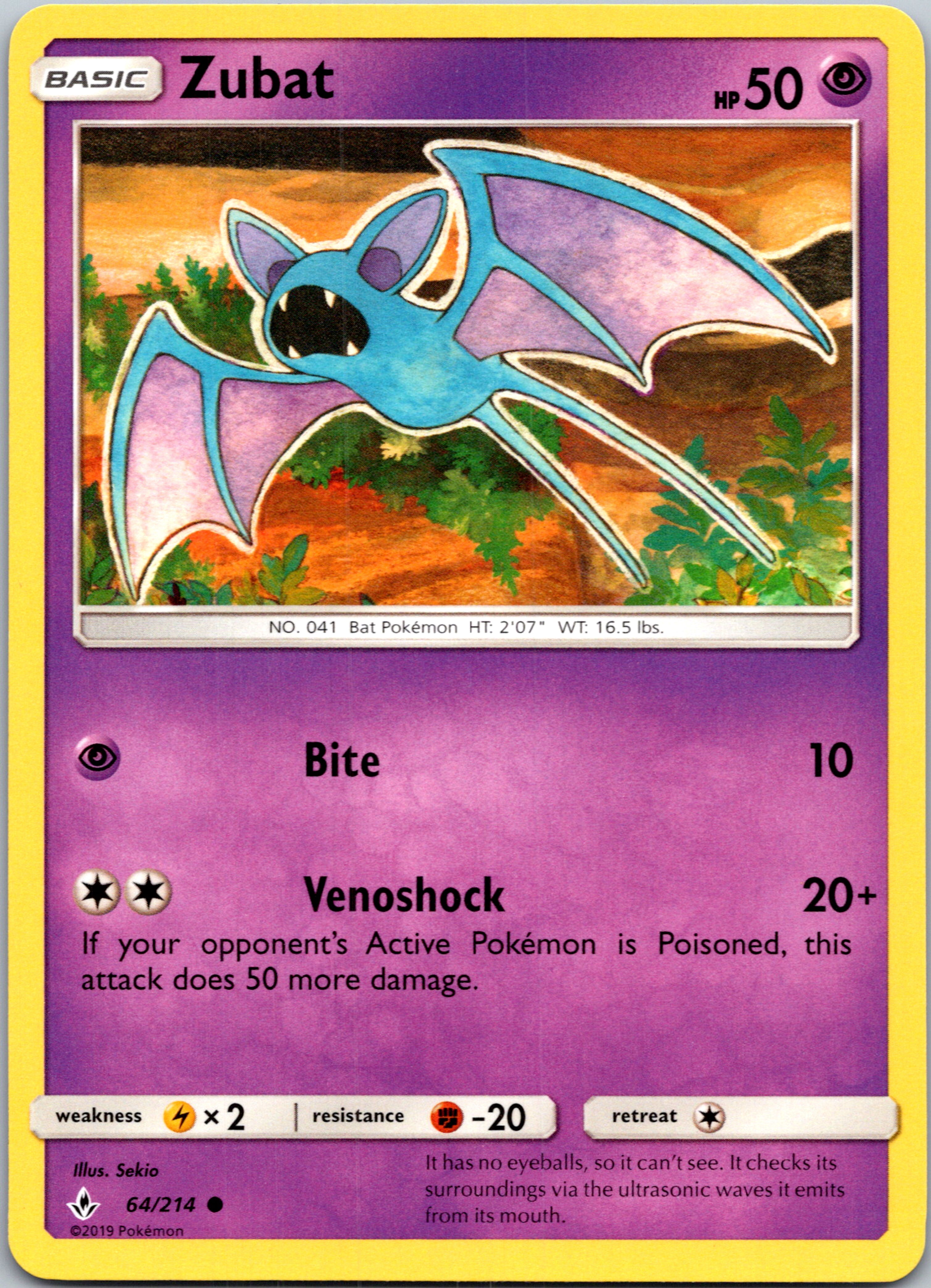 Zubat (64/214) [Sun & Moon: Unbroken Bonds]