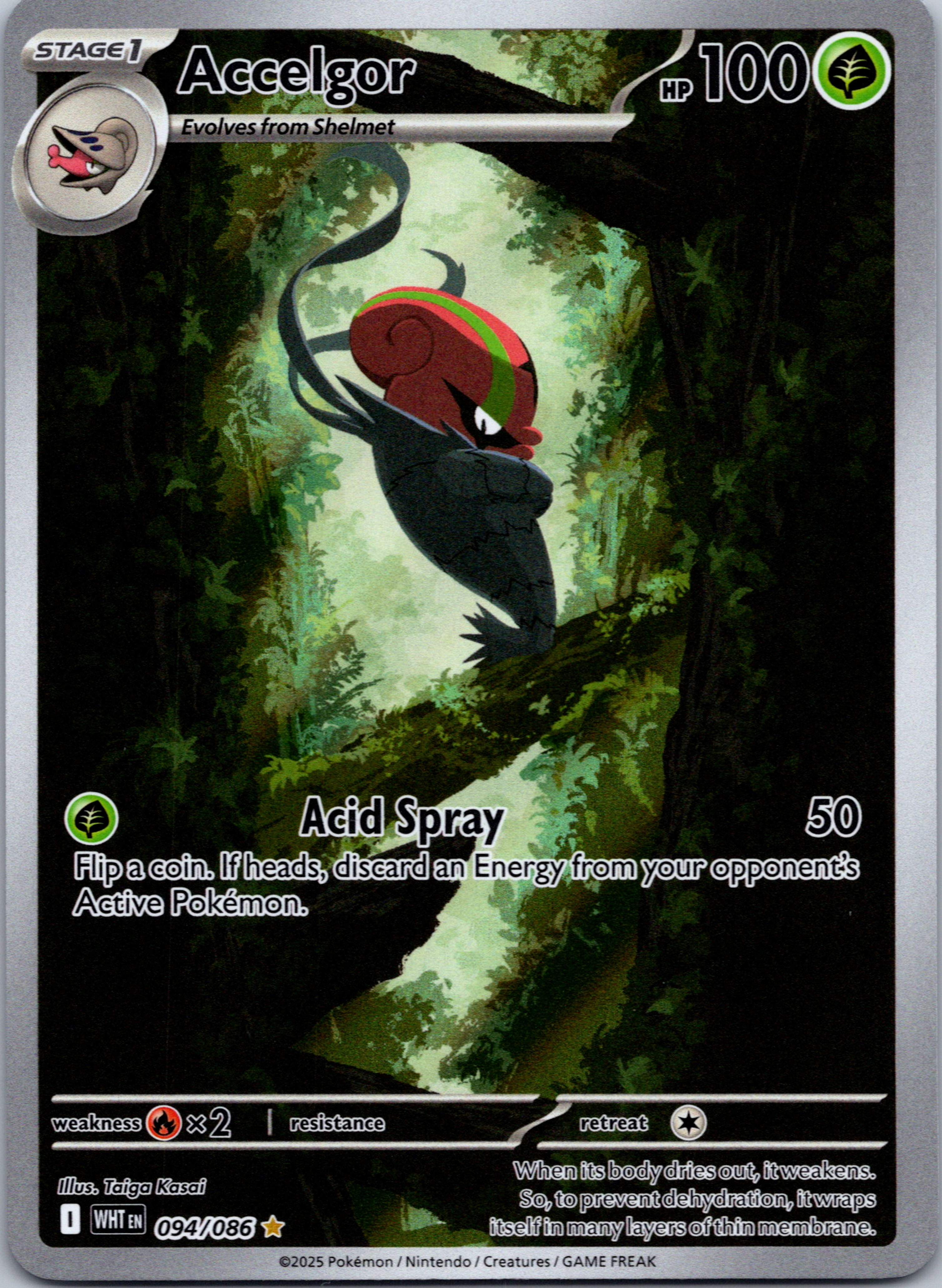 Accelgor [094/086] [White Flare] Holofoil