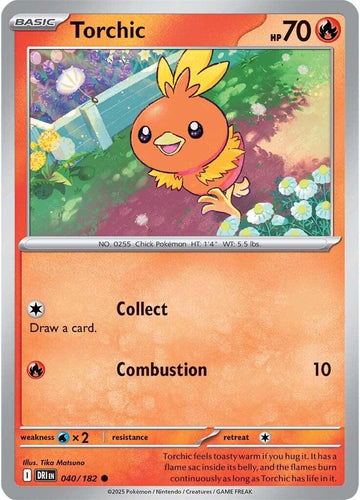 Torchic [040/182] [Destined Rivals]