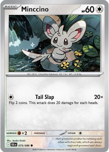 Minccino [075/086] [Black Bolt]