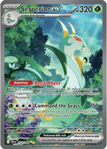 Serperior ex [164/086] [Black Bolt] Holofoil