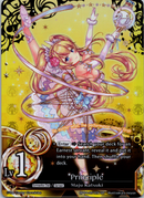 Principle - BP04-051EN-2