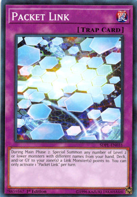 Packet Link [SDPL-EN031] Common