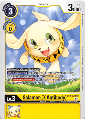 Salamon (X Antibody) [BT9-034] [X Record] Normal